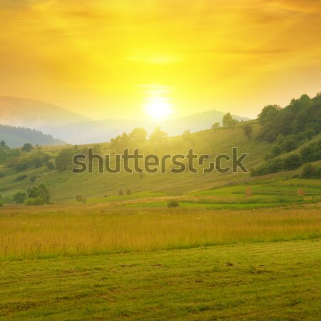 日出    春天    森林 / beautiful mountain landscape and sun