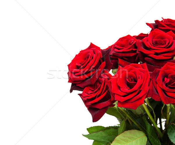 增加至灯箱 商业照片 #6625047fresh red roses 由      上线自