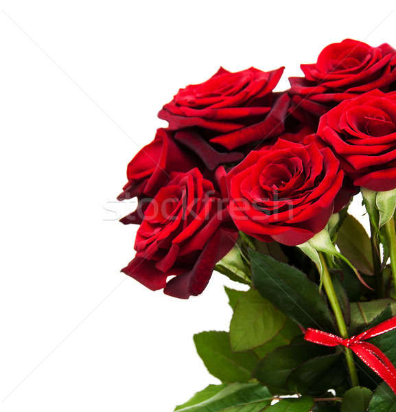 增加至灯箱 商业照片 #6643655fresh red roses 由      上线自