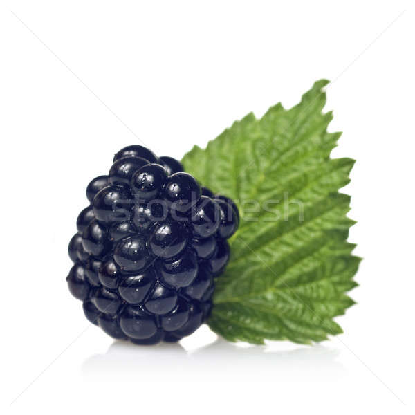 绿叶    孤立    白    春天    食品 / blackberry with green leaf