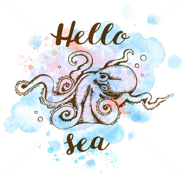商业照片 海洋 章鱼 手工绘制 夏天 蓝色 水彩画