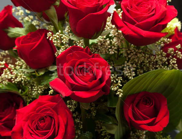 商业照片: 关闭 · 红玫瑰 · 花束 · 玫瑰 · 详细 · 关闭