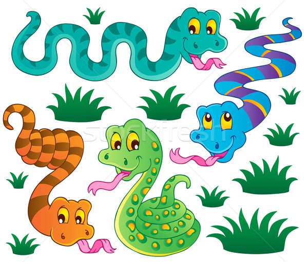 stock photo: various snakes theme collection 1