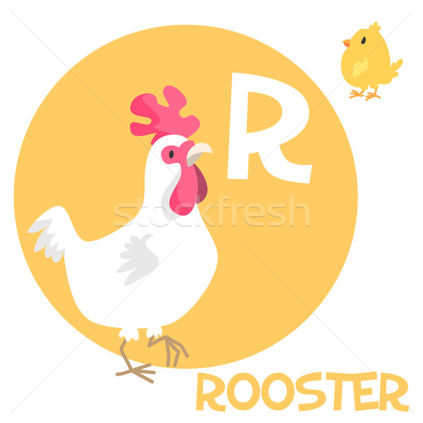 r is rooster.