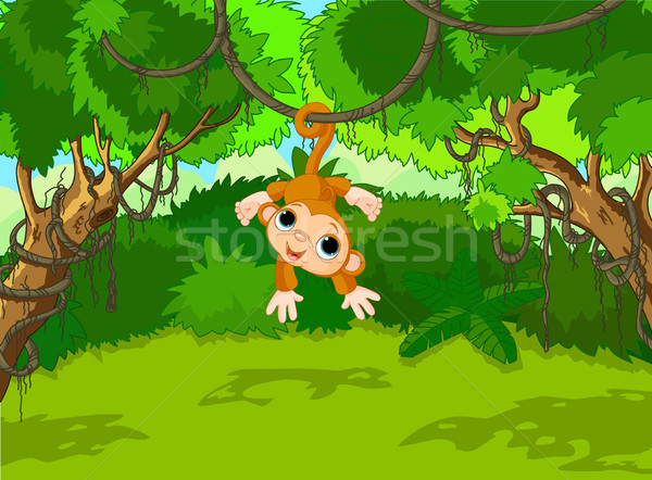 商业照片: 婴儿 · 猴子 ·树· 插图 · 热带 · 森林