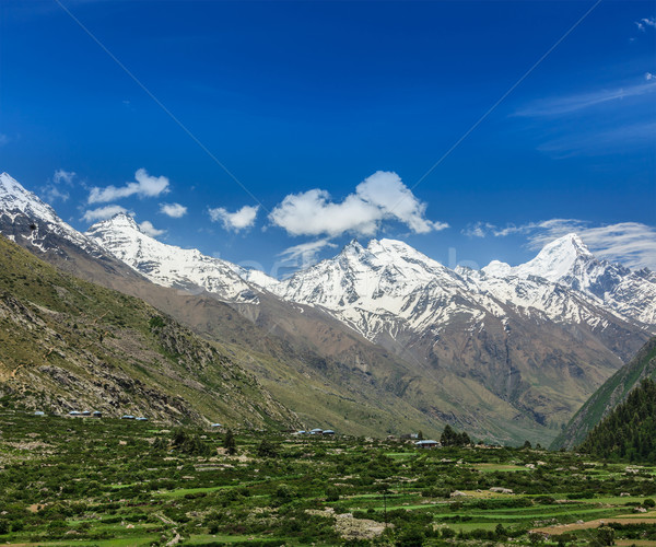 山谷 喜马拉雅山 性质 景观 山 风景 商业照片 dmitry_rukhlenko