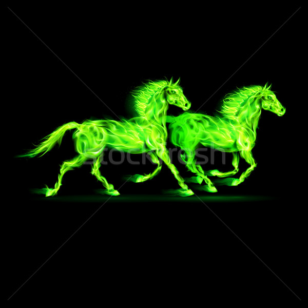 商业照片: 火· 马匹 · 绿色 ·二· 运行 · 黑色