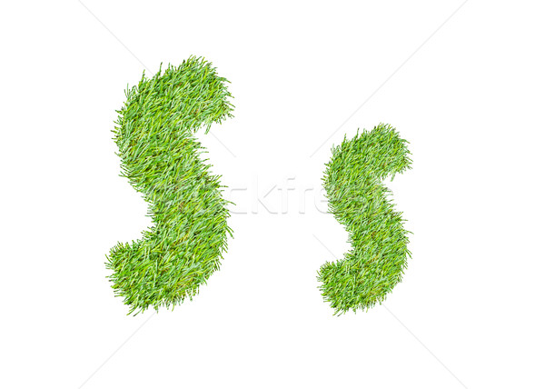 绿草    孤立    白    草    抽象 / alphabet from the green grass