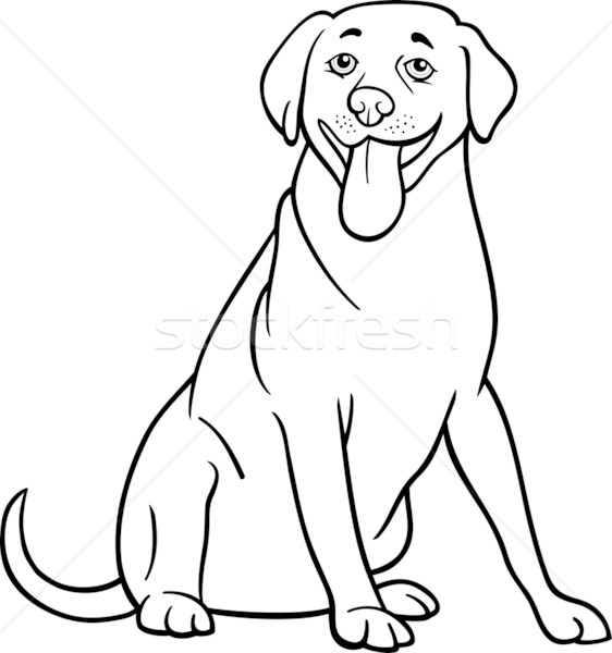 商业照片: 拉布拉多猎犬 ·狗· 漫画 · 黑白 · 插图 · 滑稽
