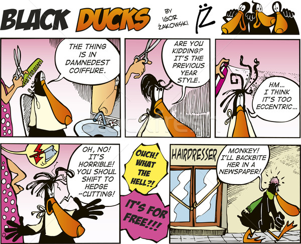 矢量图: 黑色    滑稽    头发    滑稽    鸭 / black ducks comic