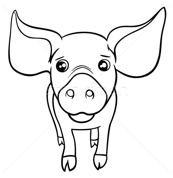 猪 小猪 黑白 漫画 插图 商业照片 izakowski