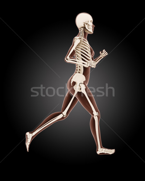 商业照片: 运行 ·女· 医生 · 骨架 · 三维渲染 · 行使