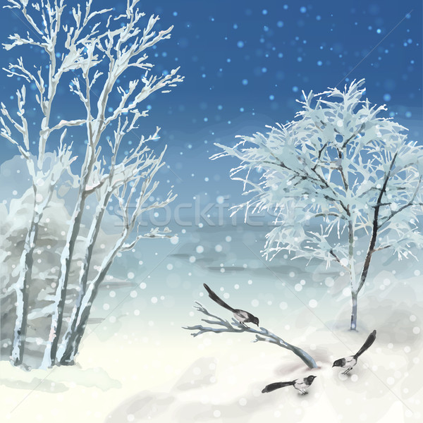 商业照片: 冬天 · 向量 · 水彩画 · 景观 · 艺术的 ·画