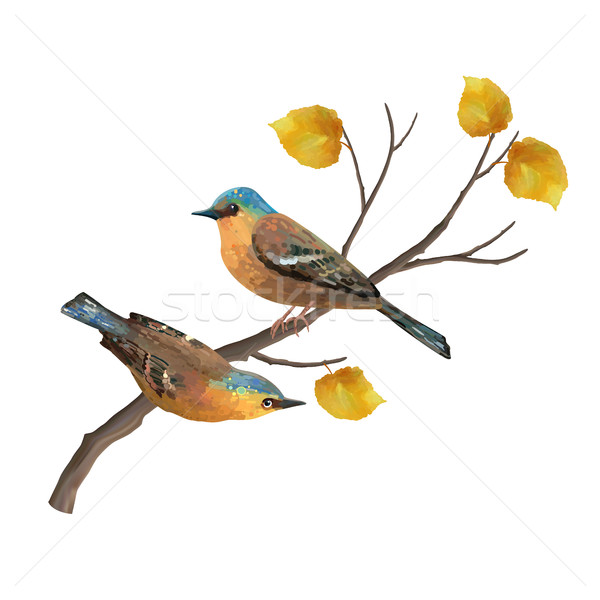 秋天 · 树枝 · 自然 · 向量 / two birds and autumn tree branch