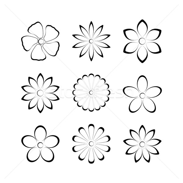 flower bud set, vector illustration stock photo 08 kup1984