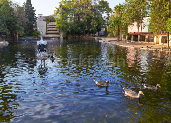 商业照片 公园 池塘 瓦伦西亚 西班牙·水 春天 ducks