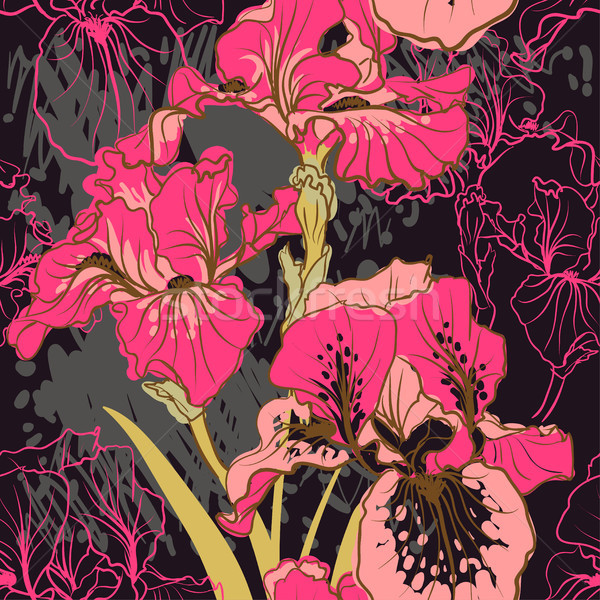 商业照片: 装饰的 · 鸢尾花 ·花· 复古 · 颜色