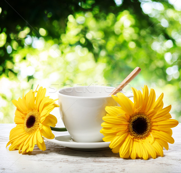 商业照片: 一杯咖啡 · 黄色 ·树·叶·花