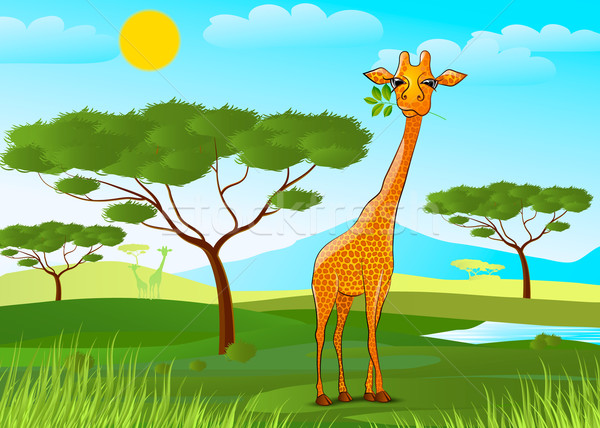 商业照片: 长颈鹿 ·吃·叶· 非洲 · 日落 · 天空