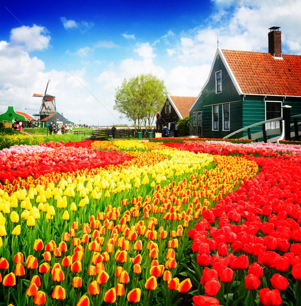 商业照片: 老· 房屋 · 荷兰 · 乡村 · 荷兰人 · 风景