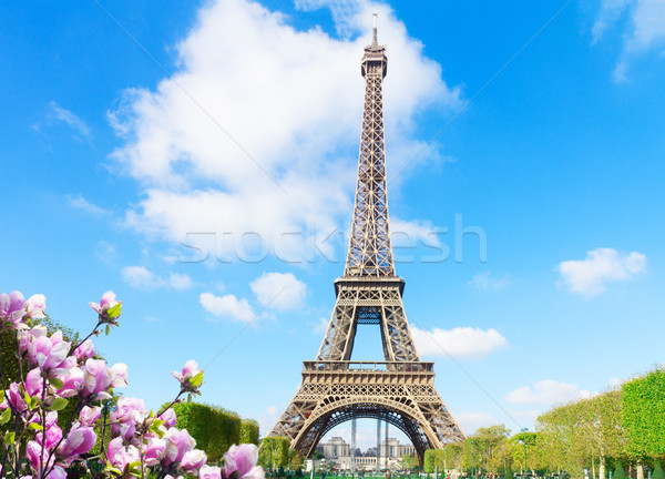 商业照片: 艾菲尔    塔    晴朗    春天    天    天空 / eiffel