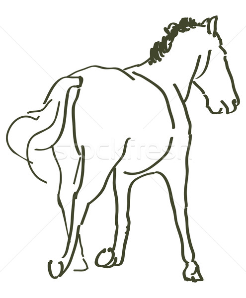 马· 运动 · 性质 · 签署 · 农场 / hand drawn horse - vector