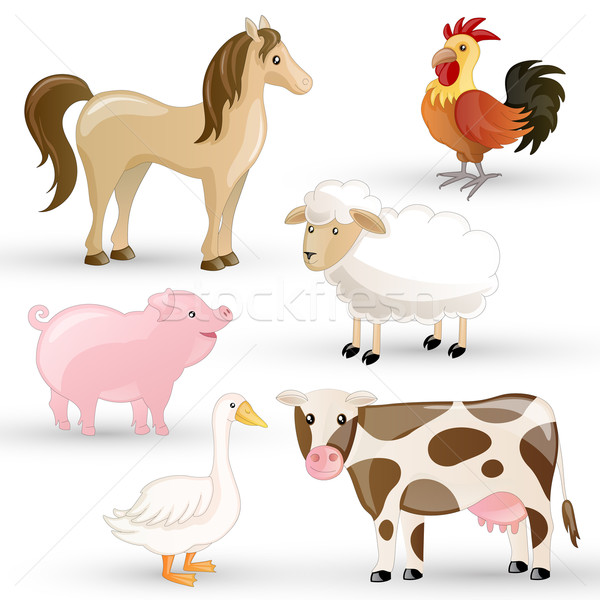 农场里的动物 商业照片和矢量图