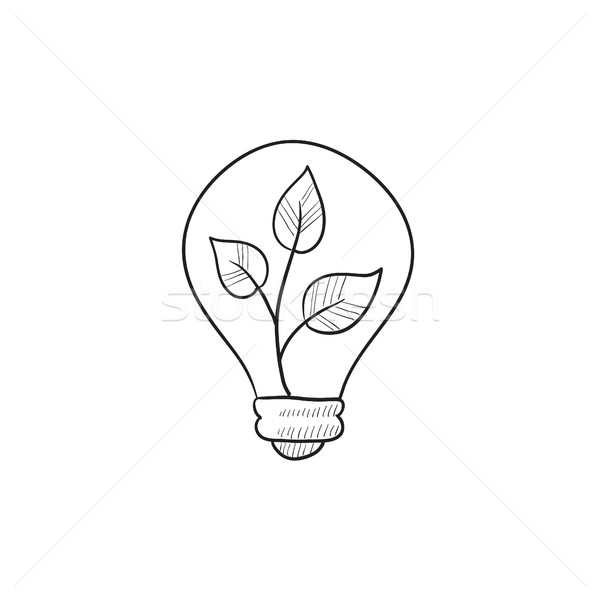 商业照片: 灯泡 · 植物 · 素描 · 图标 · 向量