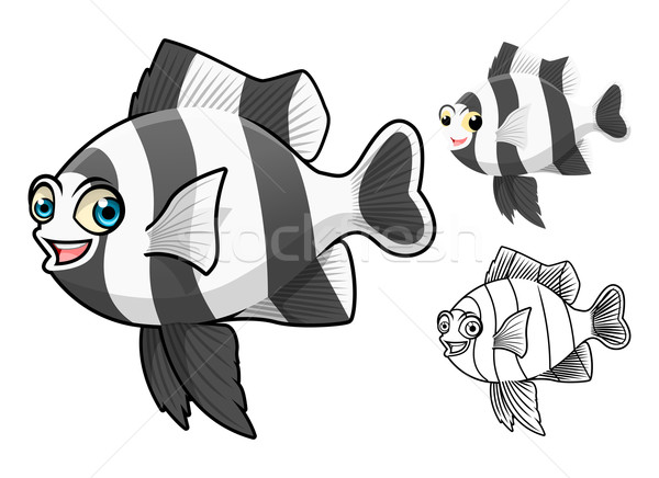 条纹 · 鱼 · 高 · 质量 / high quality four stripe damsel fish
