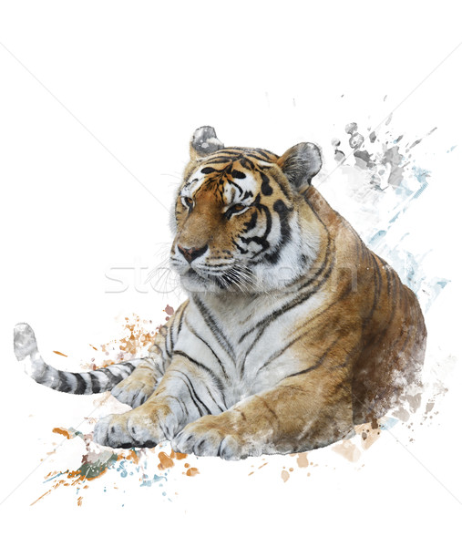 图像    虎    数字    画 / watercolor digital painting of tiger