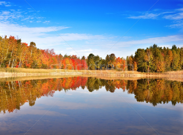 商业照片: 秋天    景观    森林    小    湖 / an autumn colorful