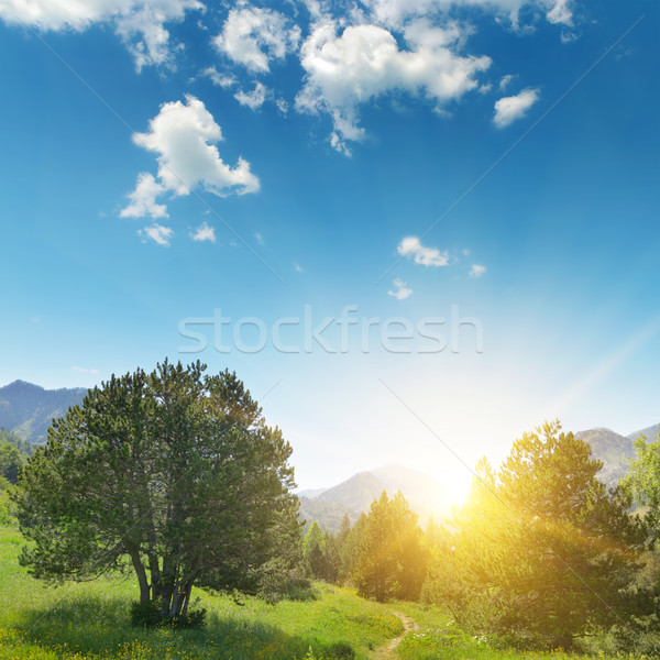 美丽    日出    山    天空    春天    性质 / beautiful sunrise