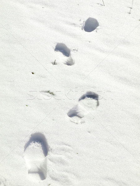 商业照片: 脚· 打印 · 人的 ·白·雪· 冬天