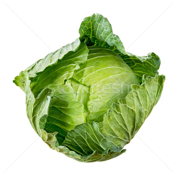 商业照片: 卷心菜 · 孤立 · 白 · 水 · 性质 · 叶 / cabbage