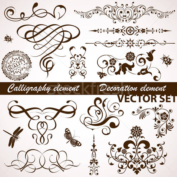 Calligraphic and floral element Stock photo © -TAlex-