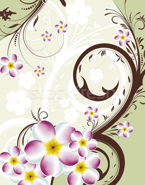 Floral background Stock photo © -TAlex-