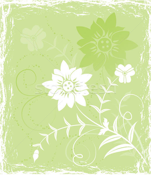 Grunge background flower, elements for design, vector Stock photo © -TAlex-