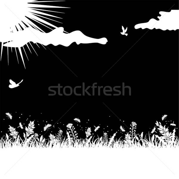 Nature background Stock photo © -TAlex-