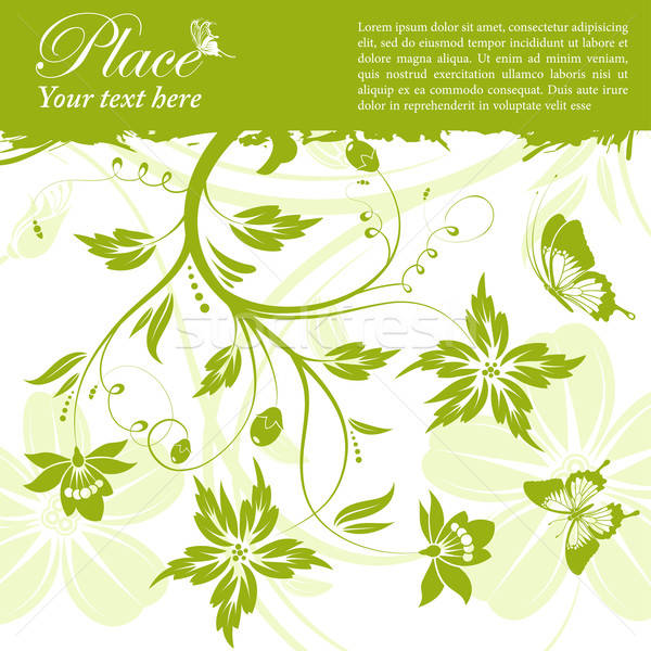 Floral Rahmen Grunge Schmetterling Element Design Stock foto © -TAlex-