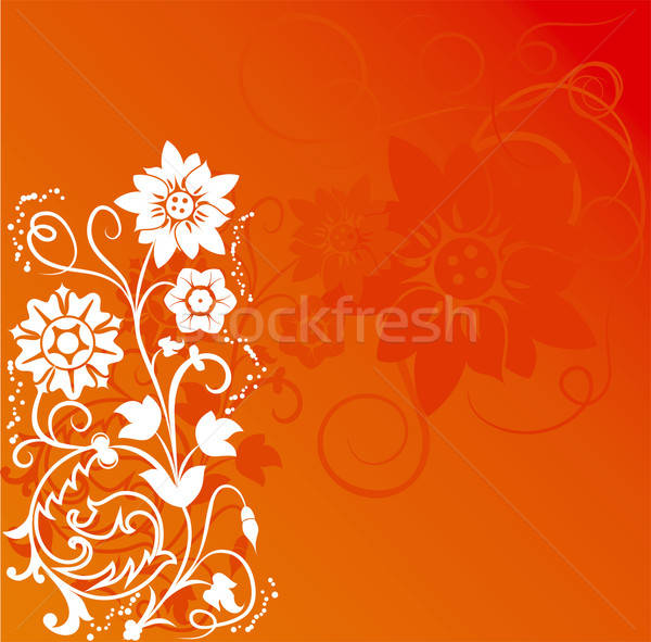 Stock photo: Background flower, elements for design