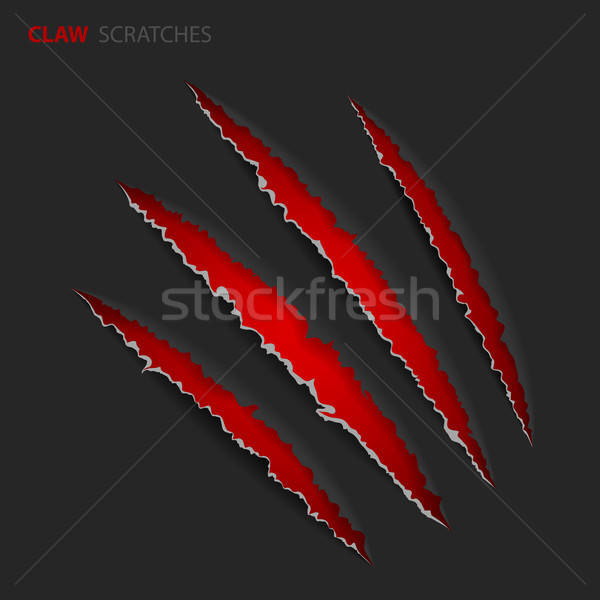 Stock photo: Scratch Claws of Animal