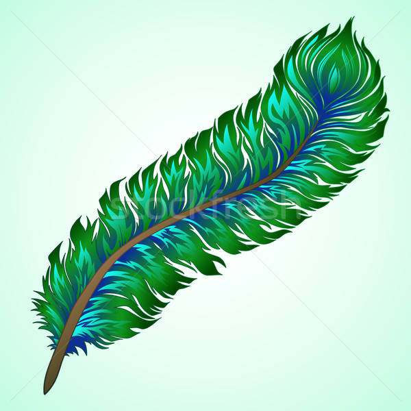 Stock photo: Vector colorful feather