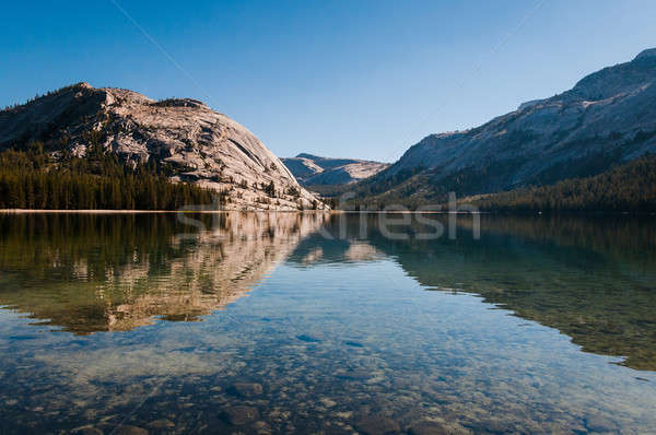 Namiddag meer licht water Stockfoto © 1Tomm