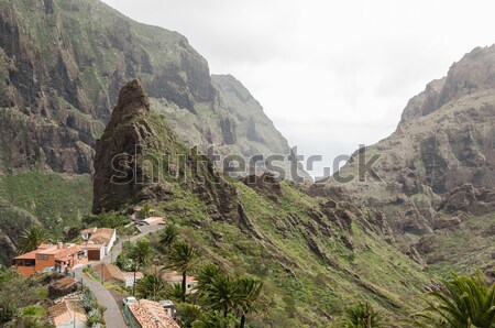 Masca ravine, Tenerife Stock photo © 1Tomm