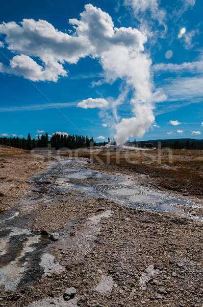 Vieux fidèle vertical vue célèbre geyser Photo stock © 1Tomm