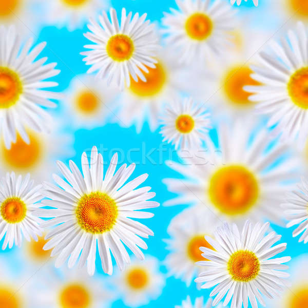 Bezszwowy tekstury kwiat kwiaty tle piękna Zdjęcia stock © 26kot