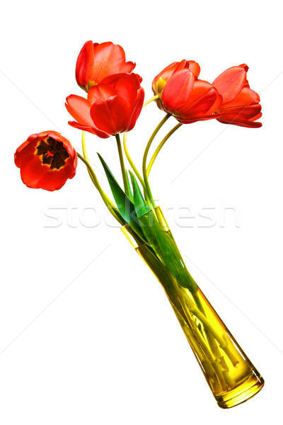 Piros tulipánok szépség váza természet háttér Stock fotó © 26kot