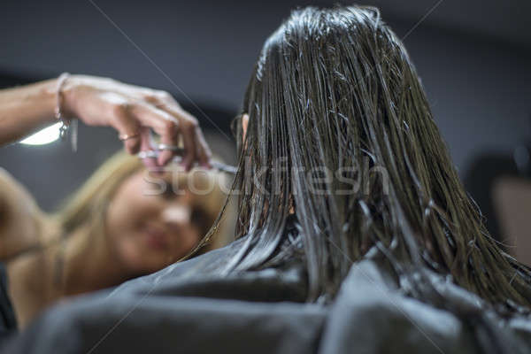 Parrucchiere azione capelli lunghi cliente fotografia Foto d'archivio © 2Design