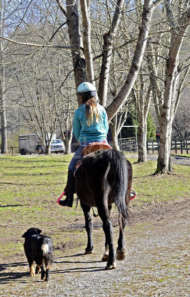 Nina equitación caballo granero jóvenes muchacha adolescente Foto stock © 2tun