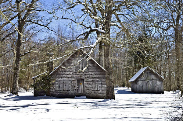 Jahrgang Gebäude Winter Schnee alten Forstwirtschaft Stock foto © 2tun